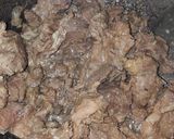Foto langkah ke 3 dari resep "Dendeng Balado".