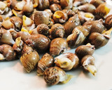 Foto del paso 1 de la receta: Caracolillos de Mar