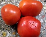 Foto del paso 2 de la receta: Tomaticán 🍅