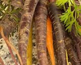 Une image de l'étape 1 de La Bresse 🐔en habits d'hiver 🥕🥬🥒🌶️.