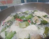Foto langkah ke 5 dari resep 1066. Sayur Lodeh Bumbu Instan.