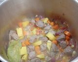 Foto del paso 3 de la receta: Estofado de ternera en olla rápida