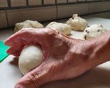 全麥豆漿葡萄乾麵包的食譜步驟7照片