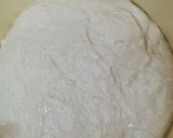 Foto del paso 3 de la receta: Pan de masa madre 🥖 Harina común, agua, sal y lenta fermentación ♥️