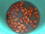 Mole - Estofado Oaxaqueño
