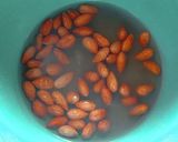 Foto del paso 3 de la receta: Mole - Estofado Oaxaqueño