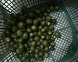 Foto langkah ke 2 dari resep Ulekutek oncom leunca (kering).