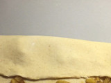 Brioche con mele caramellate
