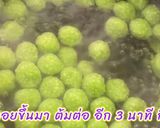 รูปขั้นตอนการทำที่ 5 ของ บัวลอยสาคูฟักทอง