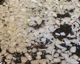 صورة لخطوة 2 من وصفة معكرونه باللحم المفروم + خبز بالثوم