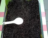 Foto langkah ke 5 dari resep Tape ketan hitam.