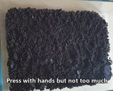 A picture of step 1 of Oreo Dessert.