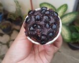 Foto langkah ke 7 dari resep Muffin cokelat ala Tintin Rayner.