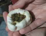 Foto del paso 5 de la receta: Panes rellenos de lentejas al curry (vegan/oil-free)!