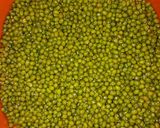 Foto langkah ke 2 dari resep Bubur Kacang Hijau (tanpa direndam).
