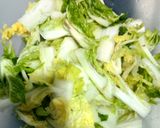 Foto langkah ke 2 dari resep Kimchi instan (baechu-geotjeori).