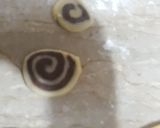 A picture of step 8 of Marble biscuits.