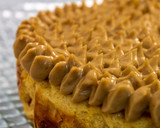 Foto del paso 5 de la receta: Cheesecake de calabaza y peanut butter