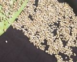 A picture of step 1 of Pearl millet Dahivada (Bajra Dahibara).