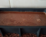 Foto del paso 4 de la receta: Pannacota de chocolate
