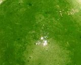 A picture of step 2 of Lemon grass cocumber juice.