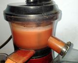 Foto langkah ke 3 dari resep Pressed Juice Apelberi.