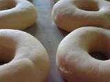 Donat Menul 🍩🍩