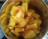 પપૈયા લસ્સી (Papaya Lassi Recipe In Gujarati) રેસીપી સ્ટેપ1ફોટો