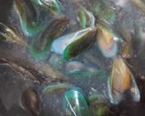 Foto langkah ke 2 dari resep Kerang Ijo Saus Padang.