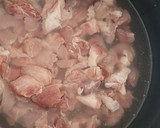 Foto del paso 4 de la receta: Carne de puerco con nopales en salsa de chile mora