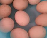 Foto langkah ke 1 dari resep Telor Asin (homemade).