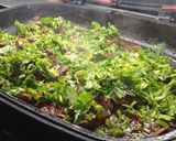 A picture of step 11 of Wet fry liver recipe.
