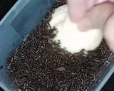 Foto langkah ke 3 dari resep Roti Coklat Tabur Meises.