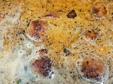 Albóndigas con rape, gamba langostinera y salsa de curry