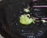 Foto langkah ke 3 dari resep Selai Coklat.