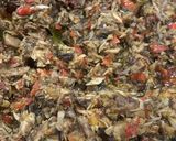 Foto langkah ke 8 dari resep Tongkol Balado Suwir Pedas.