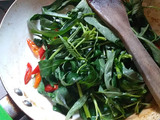 Cah Kangkung