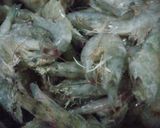 Foto langkah ke 3 dari resep Sapo Tahu.