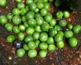 Foto langkah ke 2 dari resep Karedok Leunca.
