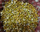 ફણગાવેલા મગનું શાક(Sprouted mung sabji recipe in Gujarati) રેસીપી સ્ટેપ2ફોટો