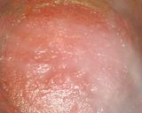 صورة لخطوة 3 من وصفة طاجن معكرونه باللحمه🥘