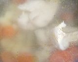 Foto del paso 2 de la receta: Caldo de pollo Tlalpeño