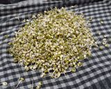 ફણગાયેલા મગ નું સલાડ(Sprouted mung salad recipe in Gujarati) રેસીપી સ્ટેપ1ફોટો