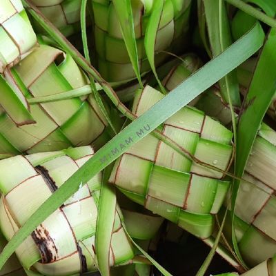 Langkah 2