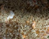 Foto langkah ke 5 dari resep Mie Godok.
