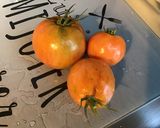 Une image de l'étape 1 de Sauce tomate épicée à l'ail, oignon et persil (pour pâtes).