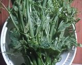 Foto langkah ke 1 dari resep Tumis daun labu siam.