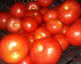 عکس مرحله 1 از دستور رب گوجه خانگی
