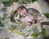 Foto langkah ke 4 dari resep Gangan Karuh Banjar.