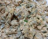 A picture of step 4 of Nutritious Moringa Parantha.